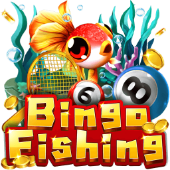 kuvin Câu Cá Bingo